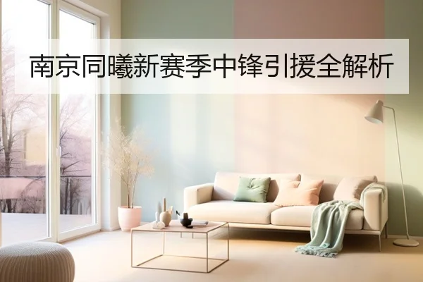 南京同曦新赛季中锋引援全解析